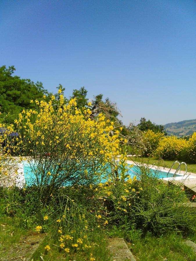 אורבינו Bed And Breakfast Il Governatore מראה חיצוני תמונה