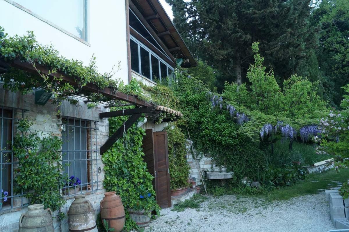 אורבינו Bed And Breakfast Il Governatore מראה חיצוני תמונה