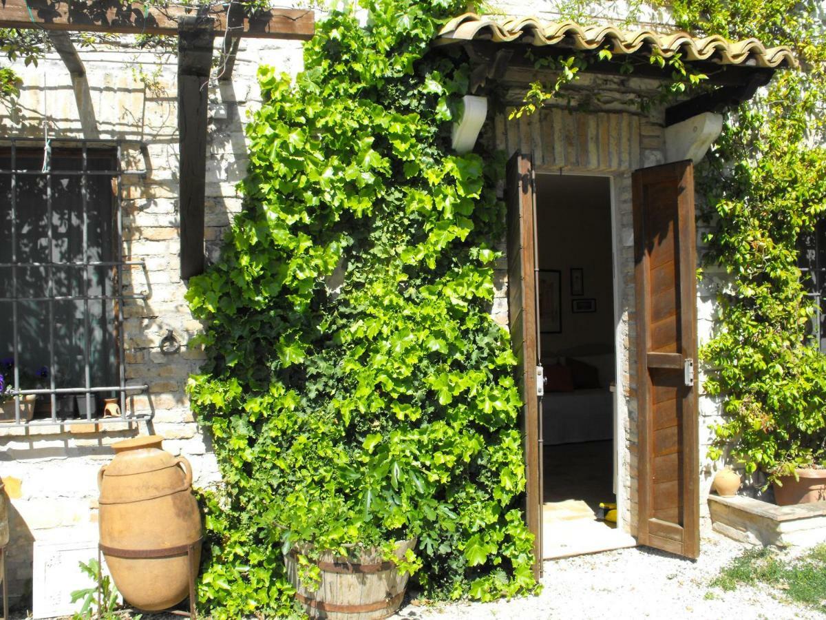 אורבינו Bed And Breakfast Il Governatore מראה חיצוני תמונה